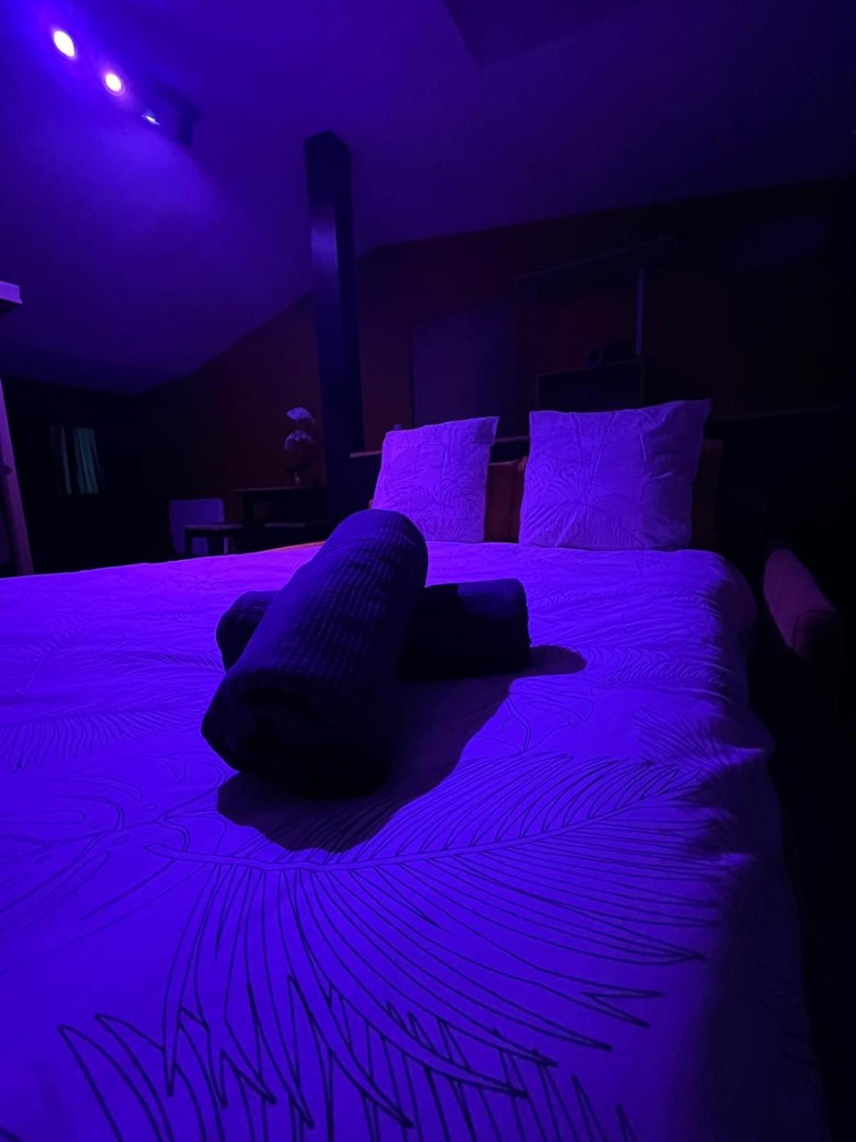 Suite Avec Sauna 36M² Niort Ngoại thất bức ảnh